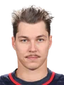 Elvis Merzlikins