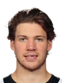 Nikita Grebenkin
