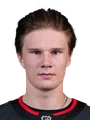 Aleksi Heimosalmi